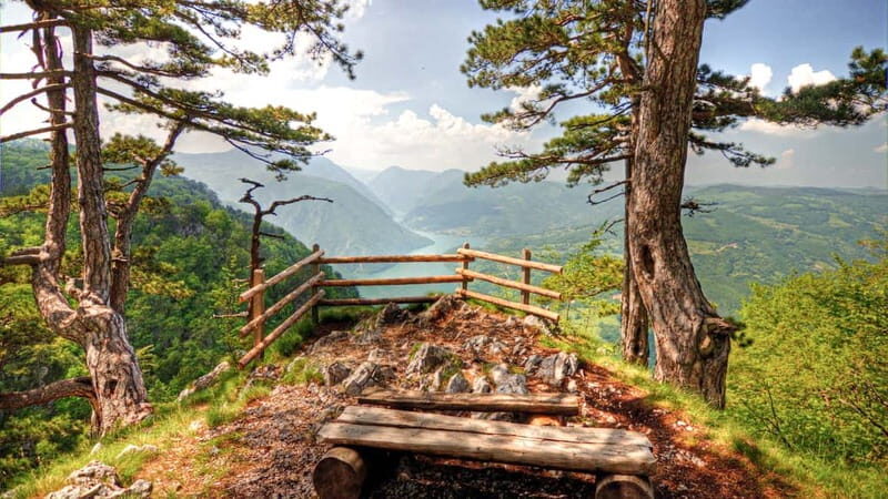 Serbia: Drina River House & Tara National Park Full Day Tour - Final Thoughts: Is This Tour Right for You?