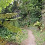 Serra dÁgua: A Scenic Levada Walk - FAQs