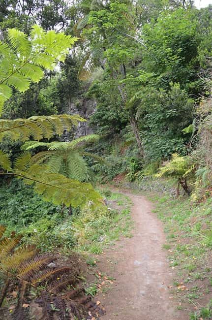 Serra dÁgua: A Scenic Levada Walk - FAQs