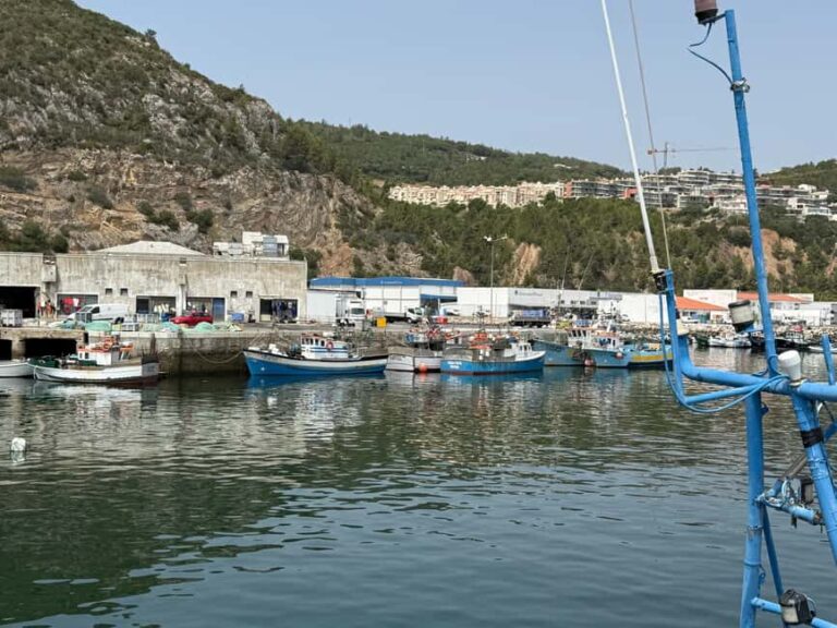 Sesimbra: Amazing Full-Day Tour with Boat Ride - Detailed Breakdown of the Itinerary