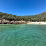 Sesimbra: Arrábida Natural Park and Tróia Sandbanks Tour - Practical Details and What to Expect
