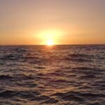 Sesimbra: Arrábida Natural Park Cabo Espichel Sunset Tour - Who Would Love This Tour?