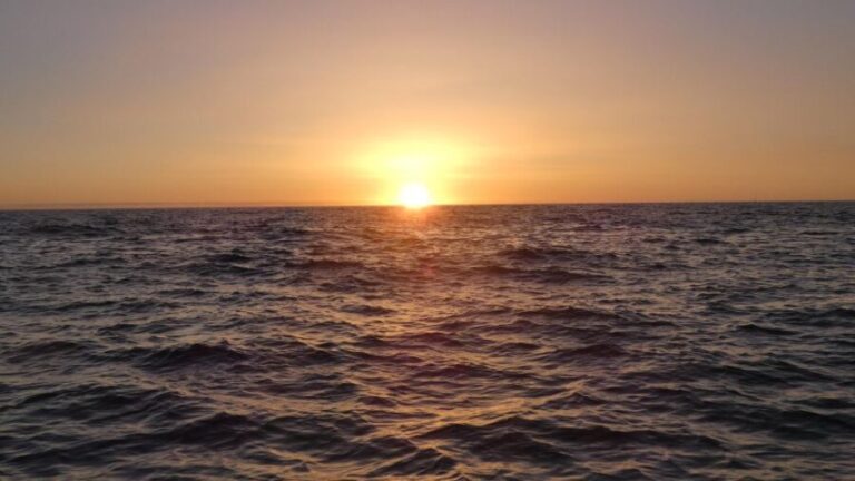 Sesimbra: Arrábida Natural Park Cabo Espichel Sunset Tour - Who Would Love This Tour?