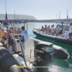 Sesimbra: Dolphin and Whales Watching with Biologist Guide - What Sets This Tour Apart