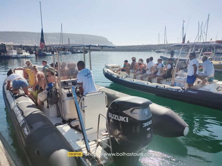 Sesimbra: Dolphin and Whales Watching with Biologist Guide - What Sets This Tour Apart