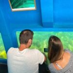 Sesimbra: Family Friendly Boat Sea Tour w/ Submarine Vision - Who Will Love This Tour?