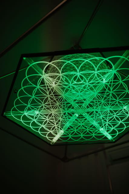 Session in the Tachyone Med bed - Practical Details and Value