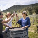 Sète: HalfDay Wine Tour - Who Will Love This Tour?