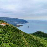 Setúbal: Market, Tiles and Wine (From Lisbon) - Practical Details and Tips