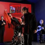 Sevilla: Flamenco Show at Tablao Álvarez Quintero - The Performance: What to Expect