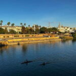 Sevilla Private Full-Day Tour from Malaga - Who Will Love This Tour?