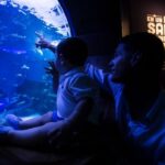 Seville Aquarium Admission Ticket - What to Expect: A Journey through Marine Environments and History