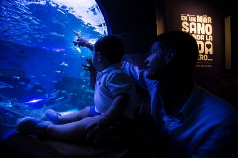 Seville Aquarium Admission Ticket - What to Expect: A Journey through Marine Environments and History