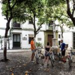 Seville: City Sightseeing and Local Culture Bike Tour - What’s Included and What You Should Know