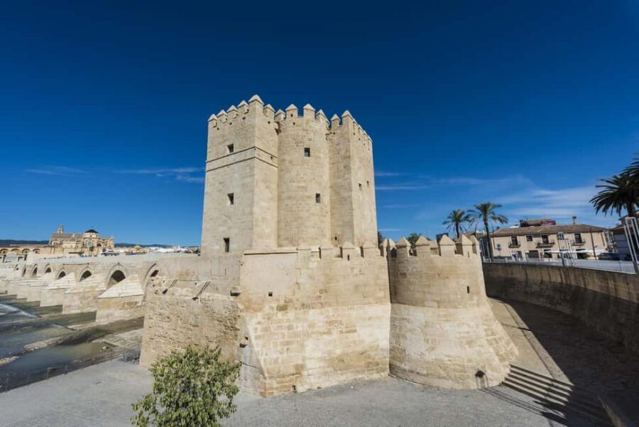 Seville: Cordoba Private & Fully Customizable Day Trip - The Journey Begins: Seamless Pickup and Comfortable Travel