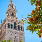 Seville: Dutch Highlights (E-)Bike Tour with a Small Group - What’s Included and What’s Not
