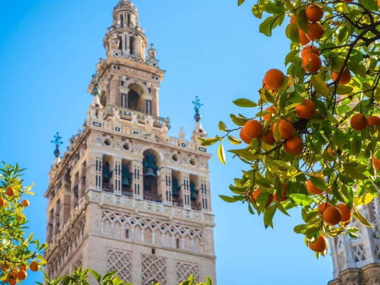Seville: Dutch Highlights (E-)Bike Tour with a Small Group - What’s Included and What’s Not