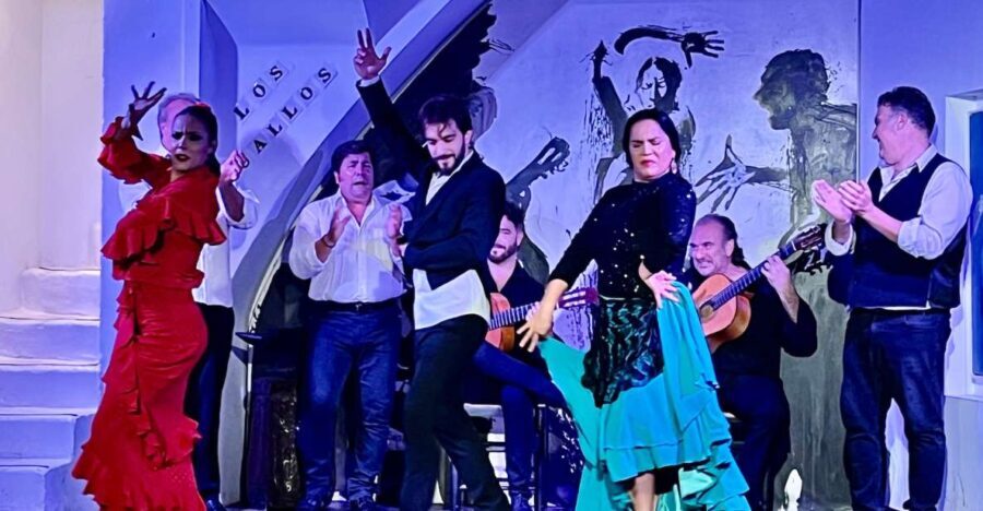Seville: Flamenco Show at Tablao Los Gallos - What to Expect During the Flamenco Show