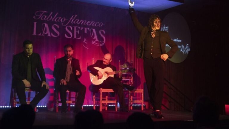 Seville: Flamenco Show & Roof Dinner with Cathedral Views - Authenticity and Value