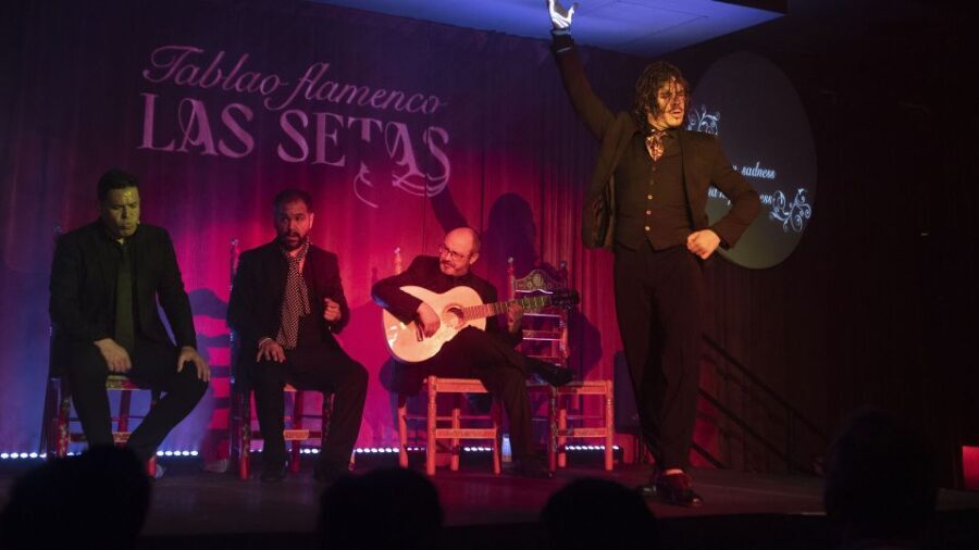Seville: Flamenco Show & Roof Dinner with Cathedral Views - Authenticity and Value
