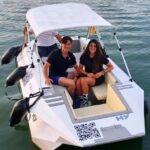 Seville from the River: Private Eco Ride, Taxi Ship - Value and Practicalities