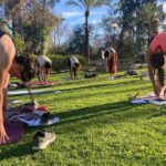Seville: Group Yoga classes All levels - in French - Equipment and Practicalities