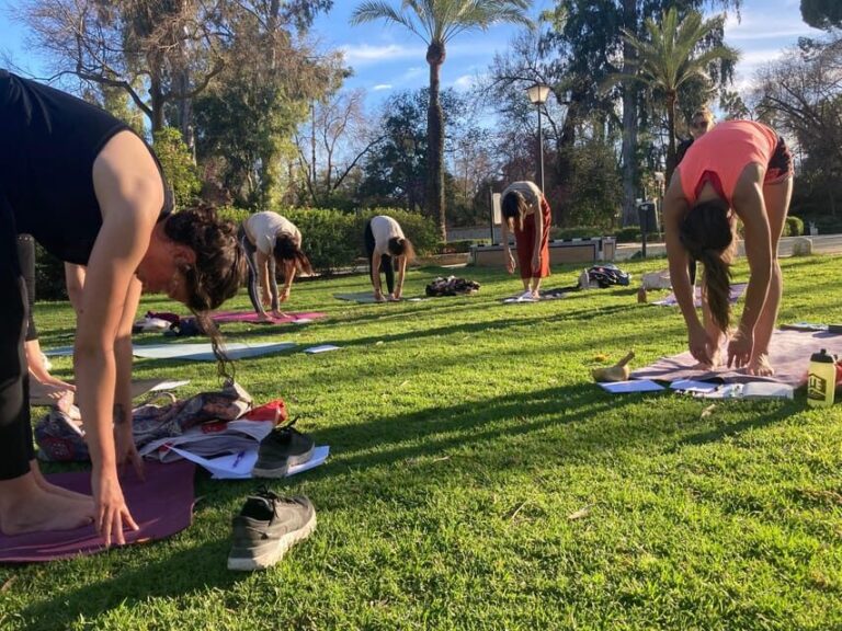 Seville: Group Yoga classes All levels - in French - Equipment and Practicalities