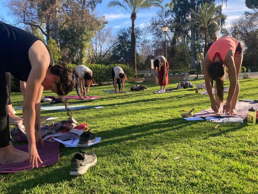 Seville: Group Yoga classes All levels - in French - Equipment and Practicalities