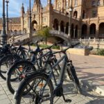 Seville: Guided Tour by Electric Bike - Why This Tour Works for You