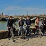 Seville: Highlights Bike Tour with Local Guide - The Practicalities: What You Need to Know