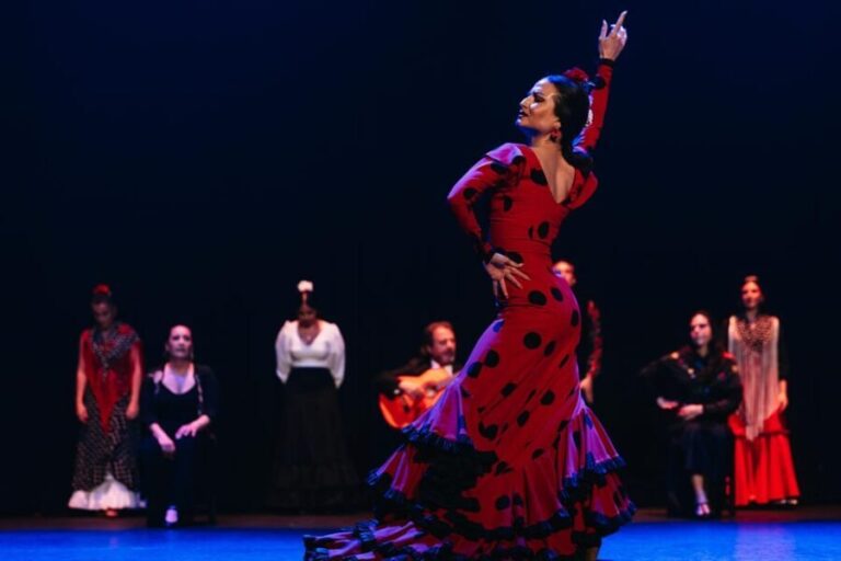 Seville: Live Flamenco Dancing Show Ticket at the Theater - What to Expect During the Performance