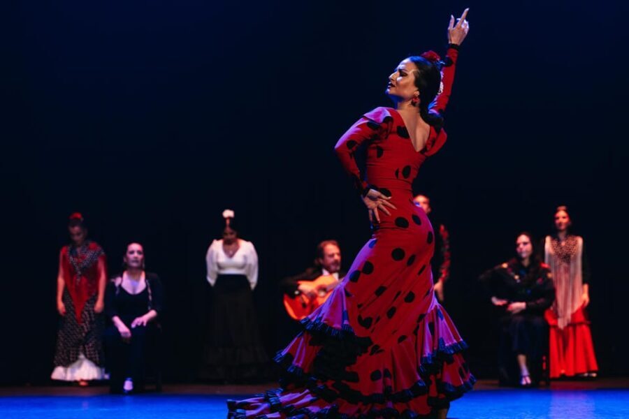 Seville: Live Flamenco Dancing Show Ticket at the Theater - What to Expect During the Performance