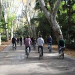 Seville: María Luisa Gardens 3Hour Tour with Picnic Lunch - Key Points