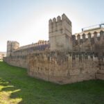 Seville: Palacio de Las Dueñas, La Macarena & Las Setas Tour - Practical Considerations