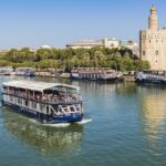 Seville: Panoramic Cruise, Hop-On-Hop-Off Bus & Walking Tour - Practical Considerations and Value