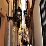 Seville: Plaza de Toros and Barrio Santa Cruz Tour - Who Should Take This Tour?