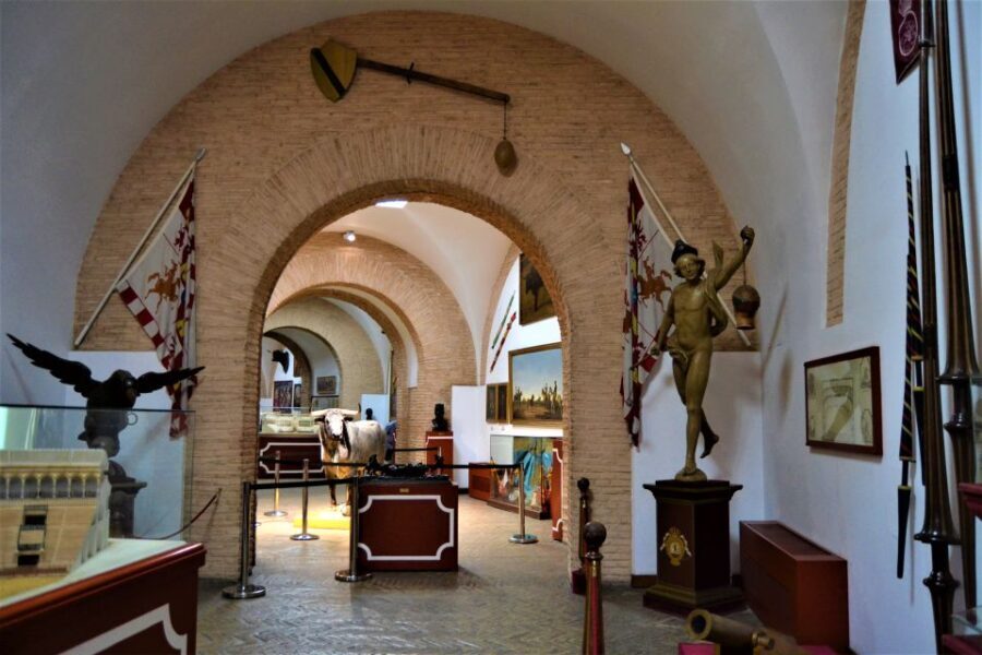 Seville: Plaza de Toros and Museum Guided Tour in Spanish - The Practicalities and Value