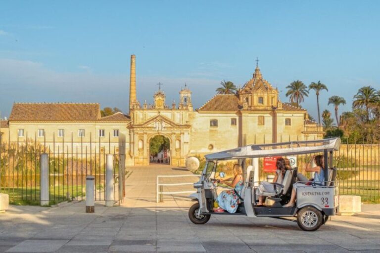 Seville: Private City Tour by Eco Tuk Tuk - Why This Tour Is Worth It