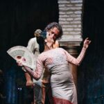 Seville: Puro Flamenco Show with Optional Museum Ticket - Who Should Book This?