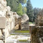 Seville: Roman City of Itálica 2 Hour Tour - An In-Depth Look at Itálica and What You Can Expect