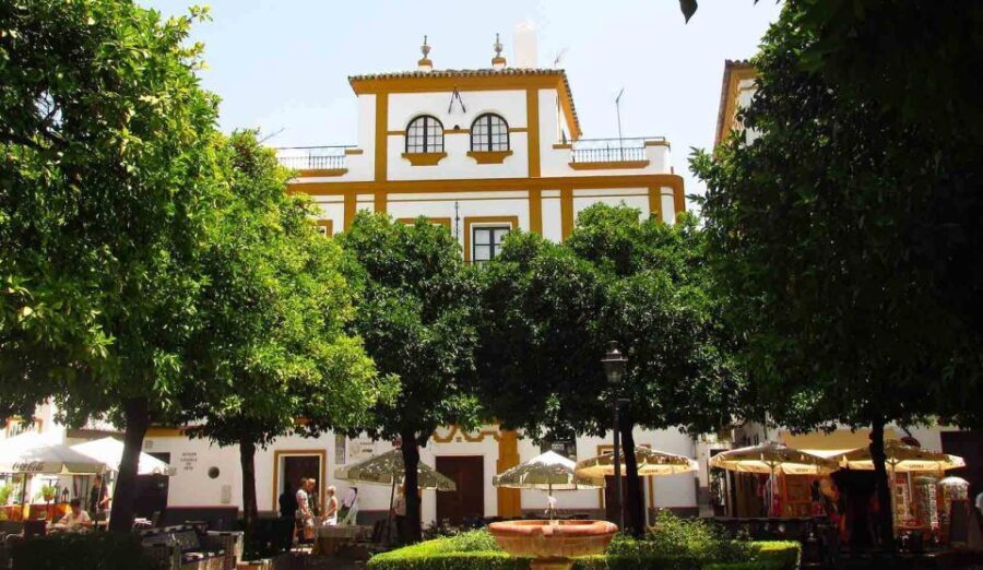 Seville: Santa Cruz Old Jewish Quarter Walking Tour - Who Will Love This Tour?