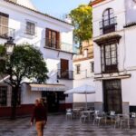 Seville: Santa Cruz Private Tour - Who Should Take This Tour?