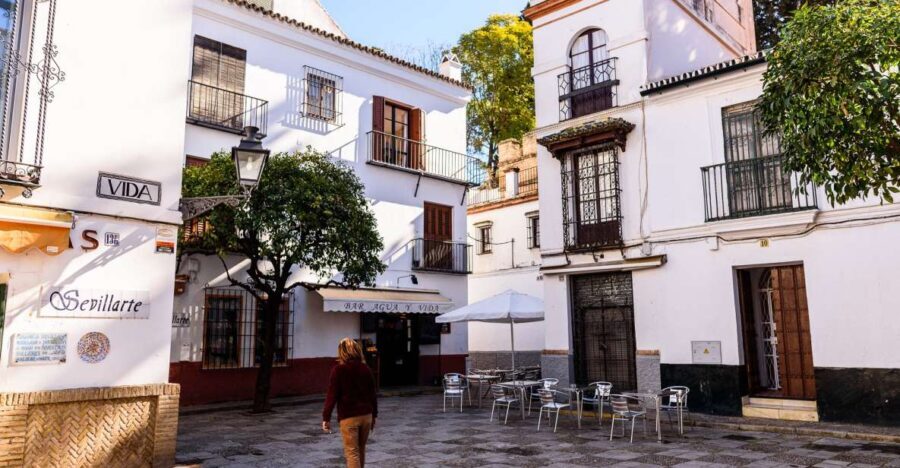 Seville: Santa Cruz Private Tour - Who Should Take This Tour?