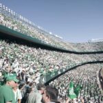 Seville: Sevilla FC or Real Betis Football Match with Guide - Authenticity and Insider Value