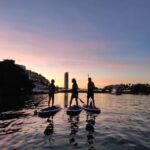 Seville: Sunset and Evening Paddle Boarding Tour - Who Will Love This Tour?