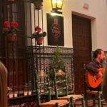Seville: Tapas and Flamenco Tour with Local Guide - Final Thoughts