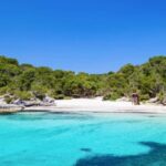 Shared boat excursion Half day - The Sum Up