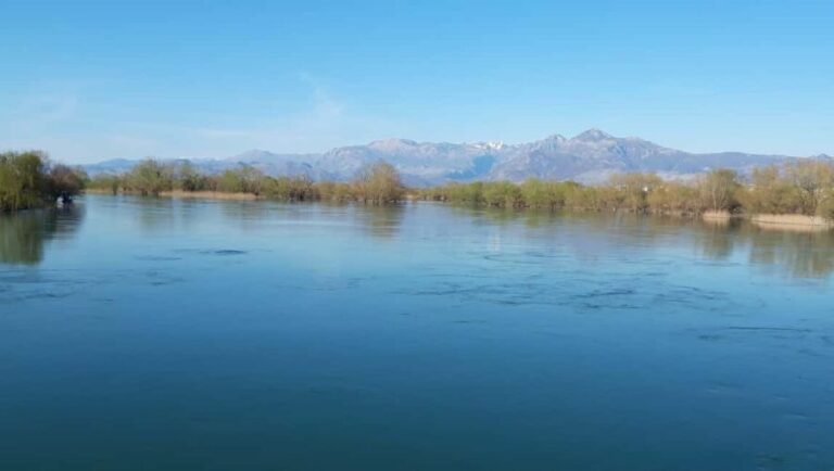 Shkodër Culinary & Wellness Experience  Hidden Gems - What to Expect and Practical Tips