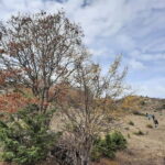 Shtegu i Vakëfëve (Trail of Holly Lands) - Practical Details and What You Should Know