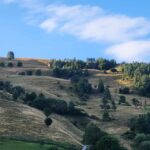 Sibiu: Cindrel Mountains Hike with Traditional Brunch - Detailed Breakdown of the Itinerary